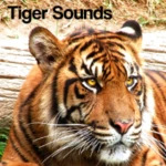 Logo of Tiger Sounds android Application 