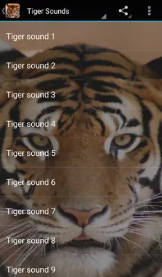 Tiger Sounds android App screenshot 0